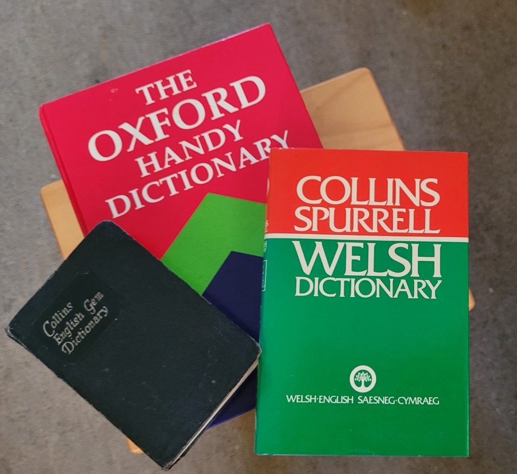 Three dictionaries on a small wooden table.